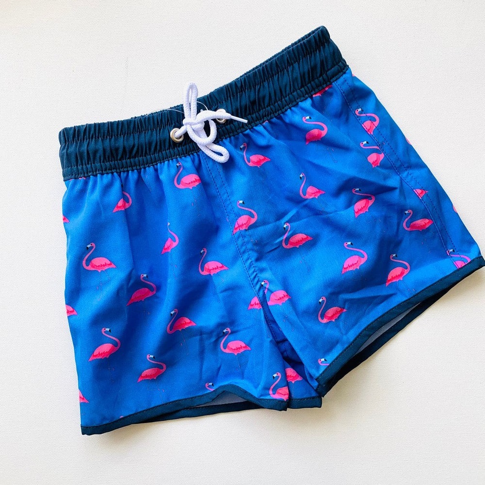 Blueberry Bay boys, flamingo, swim trunks Size 2T
